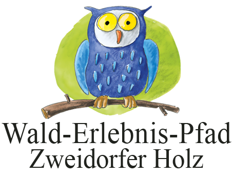 Wald-Erlebnis-Pfad